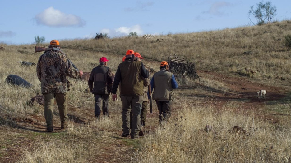 (Foto de ARCHIVO)
Cazadores en Castilla-La Mancha

REMITIDA / HANDOUT por JCCM
Fotografía remitida a medios de comunicación exclusivamente para ilustrar la noticia a la que hace referencia la imagen, y citando la procedencia de la imagen en la firma
08/10/2023