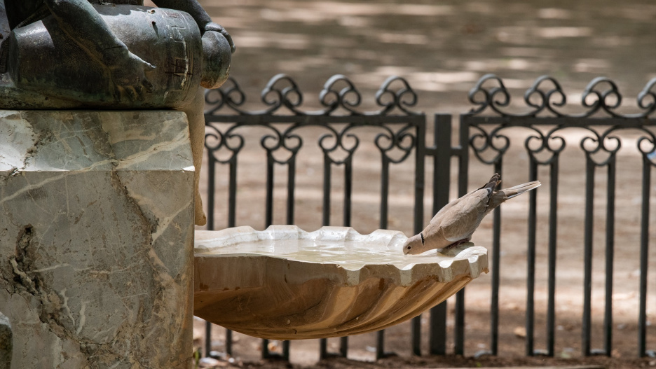 Parque Abelardo Sánchez en Albacete