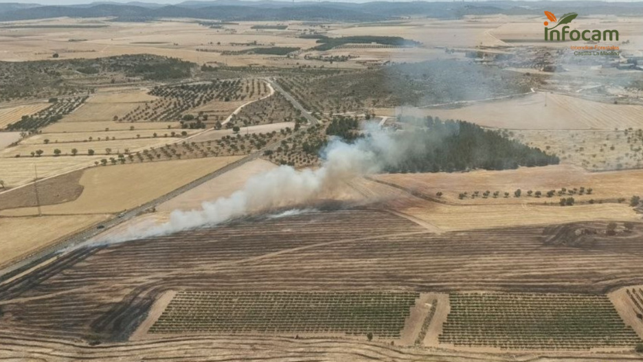 Vista aérea del incendio declarado en el término municipal de Villavaliente en Albacete