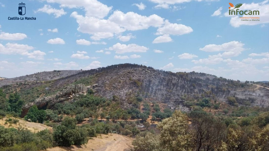 Incendio en Huertezuelas, en Calzada de Calatrava (Ciudad Real).

REMITIDA / HANDOUT por INFOCAM
Fotografía remitida a medios de comunicación exclusivamente para ilustrar la noticia a la que hace referencia la imagen, y citando la procedencia de la imagen en la firma
01/7/2026