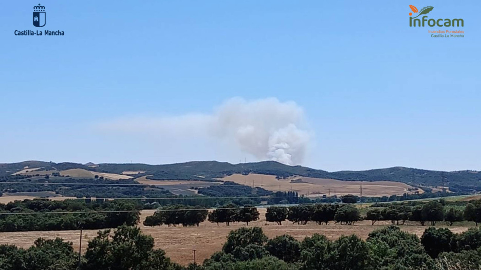 Incendio forestal en Robledillo de Mohernando (Guadalajara)