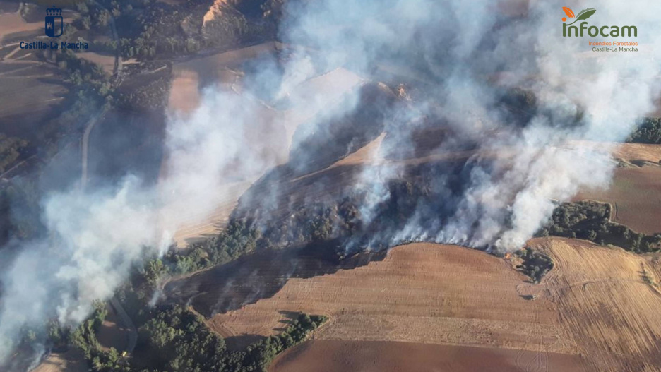 Incendio forestal en Robledillo de Mohernando (Guadalajara)