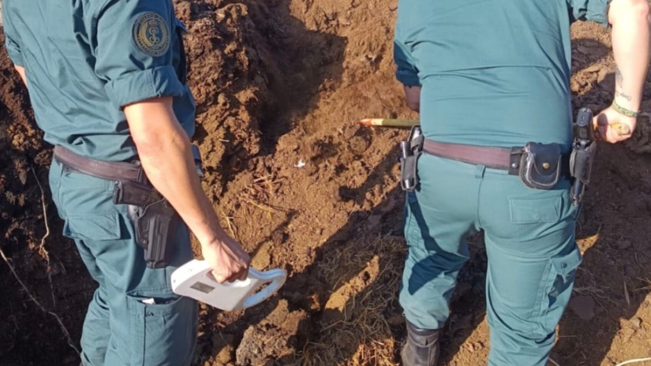 Los agentes encontraron restos óseos de los animales entre montañas de estiércol.