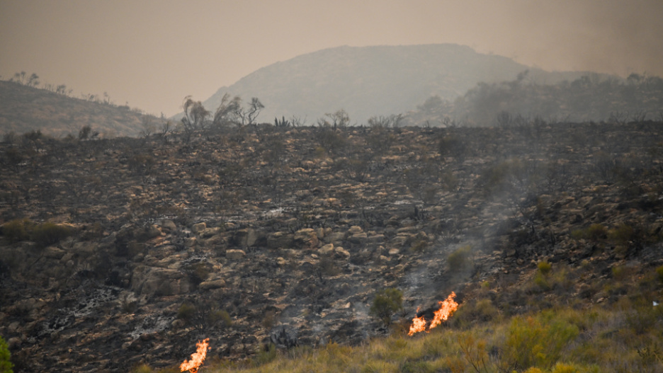 Vista de uno de los focos del incendio forestal declarado en Los Gallardos.
