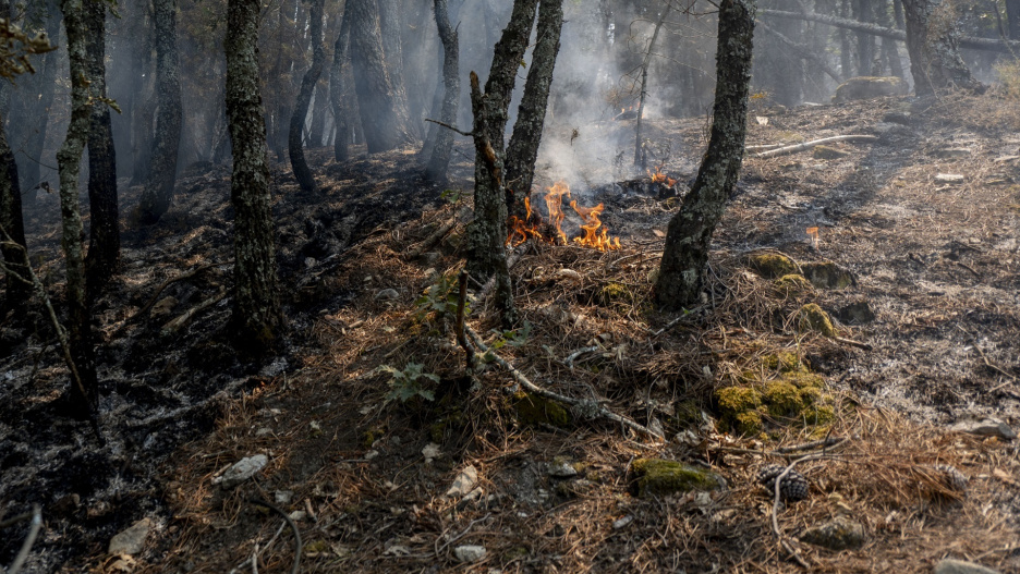 El incendio forestal de Burgohondo es el que más número de hectáreas ha quemado.