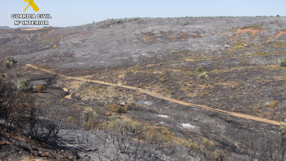 Imagen de la zona afectada por incendio