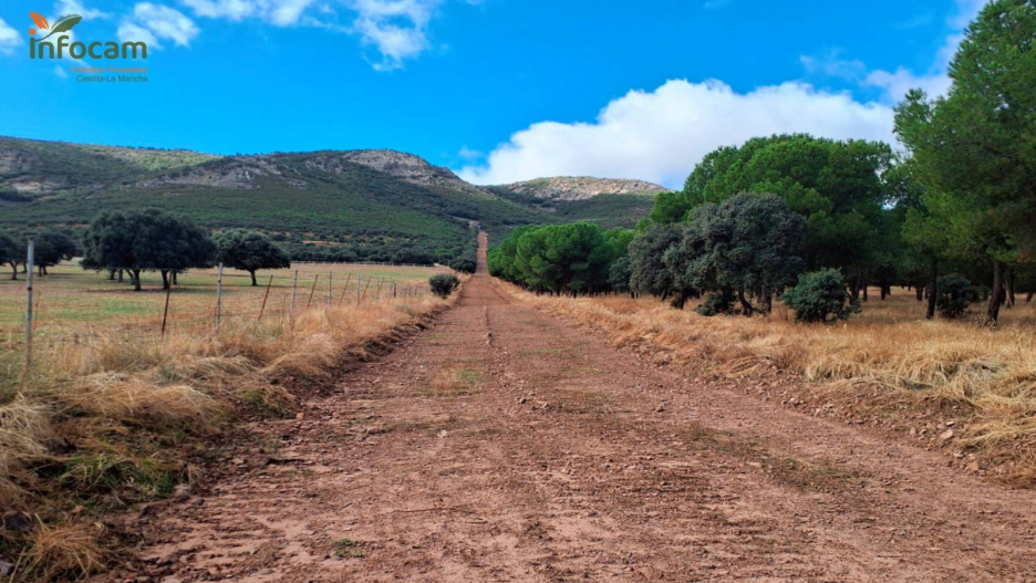 Imagen de pista forestal en Castilla-La Mancha