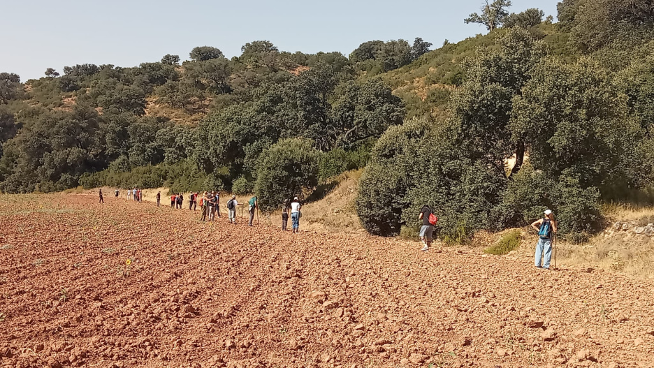 Zona de batidas para buscar a Margarita, desaparecida este martes en Palomares (Cuenca).