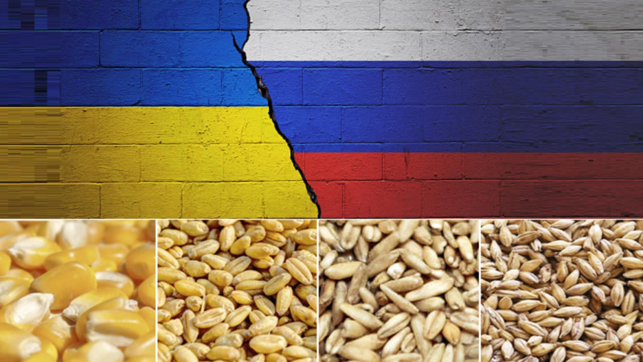 Bloqueo ruso a la exportación de cereal ucraniano