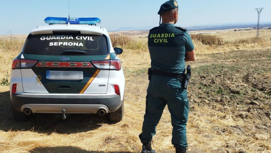 (Foto de ARCHIVO)
Un agente del Seprona

REMITIDA / HANDOUT por GUARDIA CIVIL
Fotografía remitida a medios de comunicación exclusivamente para ilustrar la noticia a la que hace referencia la imagen, y citando la procedencia de la imagen en la firma
30/6/2025