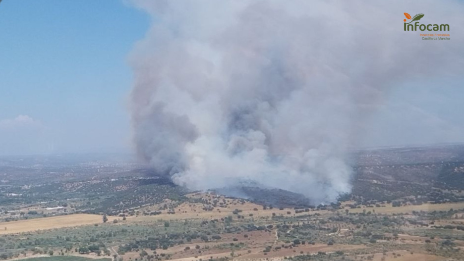 Nuevo incendio forestal en la Sierra Oeste de Madrid, en Aldea del Fresno.