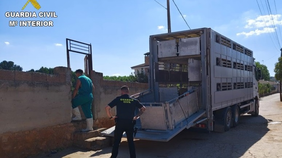 Inmovilización en la finca de Ruidera (Ciudad Real)
