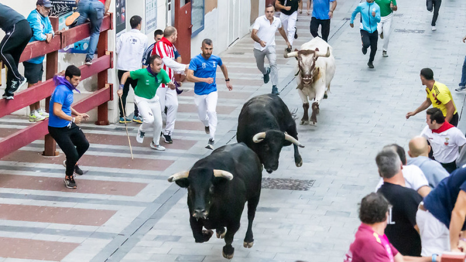 CMM ofrecerá en directo los encierros de Guadalajara del 16 al 21 de septiembre