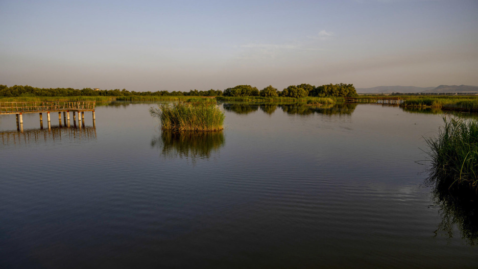 El Parque Nacional de Las Tablas de Daimiel contaba a 1 de septiembre de 2026