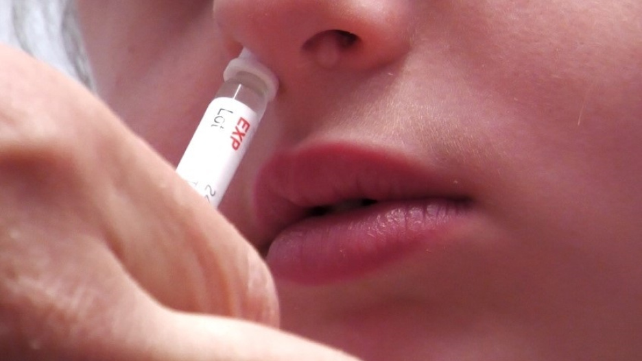 (Foto de ARCHIVO)
Vacuna intranasal

Para la campaña de vacunación contra la gripe 2026-2027, el Gobierno de Castilla-La Mancha dispone de 46.000 dosis de la vacuna intranasal, destinadas específicamente a los niños y niñas de entre 24 meses (2 años) y 7 años completos