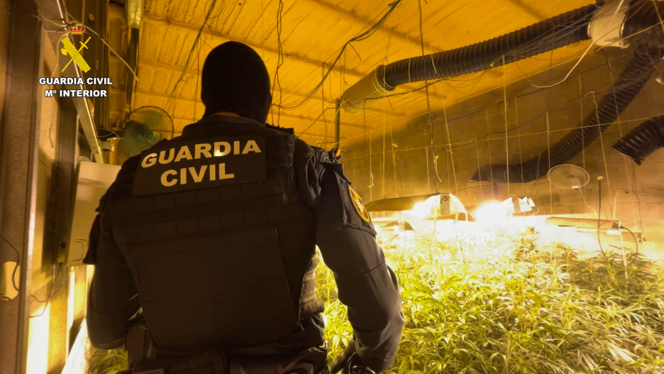 La operación 'Alcahuete Verde' se ha llevado a cabo por el Equipo de Delincuencia Organizada y Antidroga de la Unidad Orgánica de Policía Judicial de Toledo