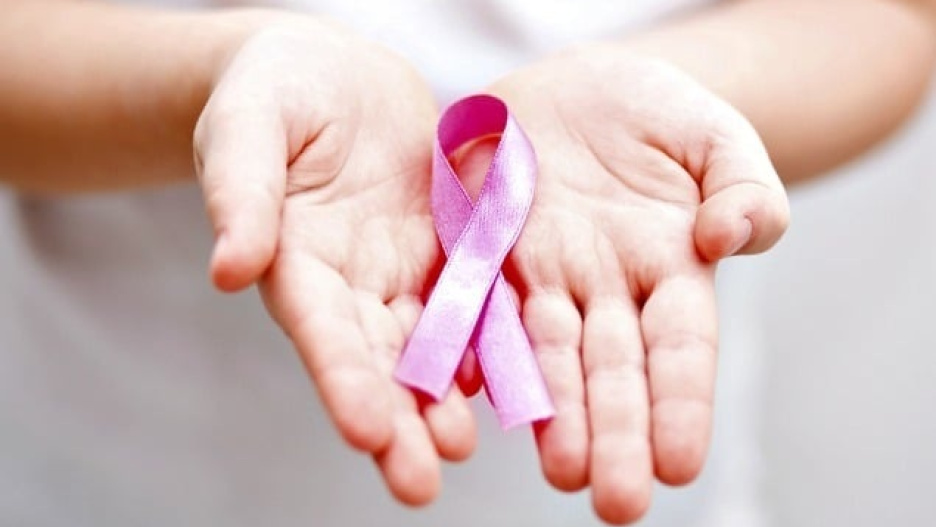 Día Mundial del Cáncer de Mama.

REMITIDA / HANDOUT por GOBIERNO DE ARAGÓN
Fotografía remitida a medios de comunicación exclusivamente para ilustrar la noticia a la que hace referencia la imagen, y citando la procedencia de la imagen en la firma
18/10/2026