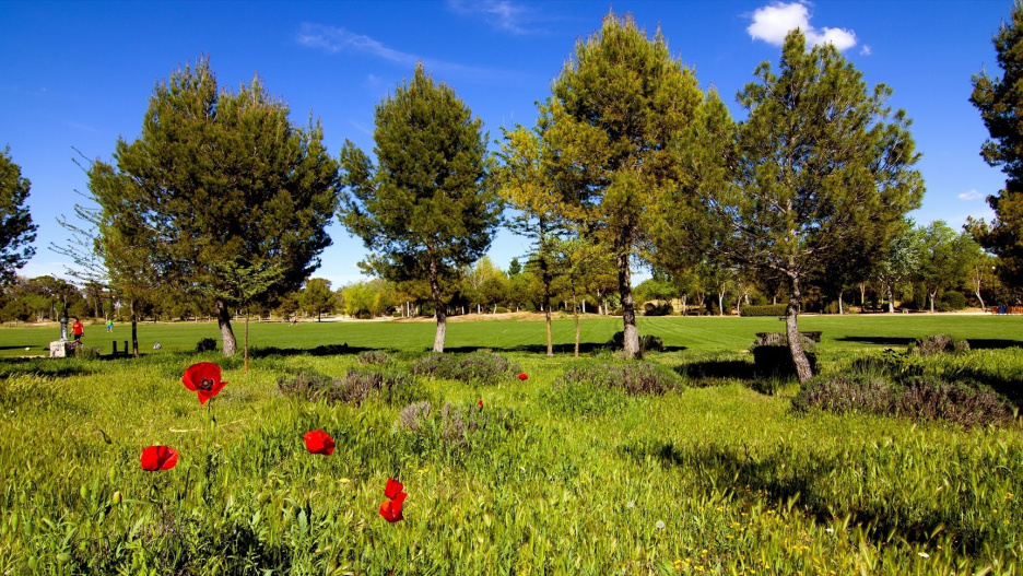 (Foto de ARCHIVO) Parque de la Pulgosa en Albacete.