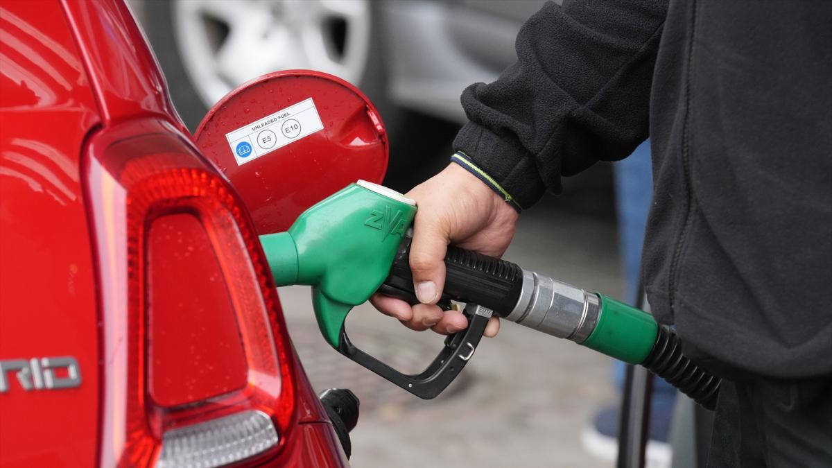 Rebaja del IVA en combustibles, luz y el gas y la congelación de los ...
