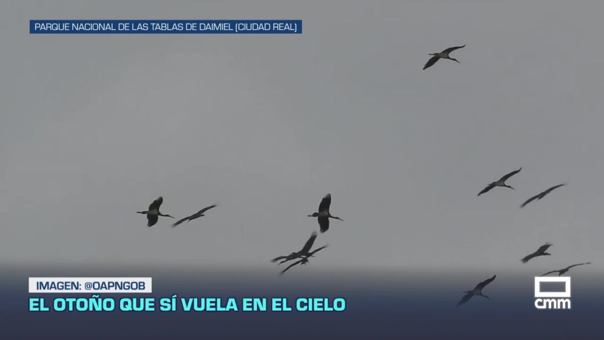 Previsión del tiempo - 14/10/2026 | El Tiempo - CMM Play
